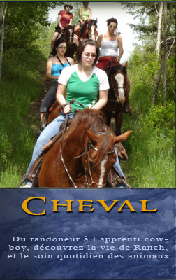 cheval qubec